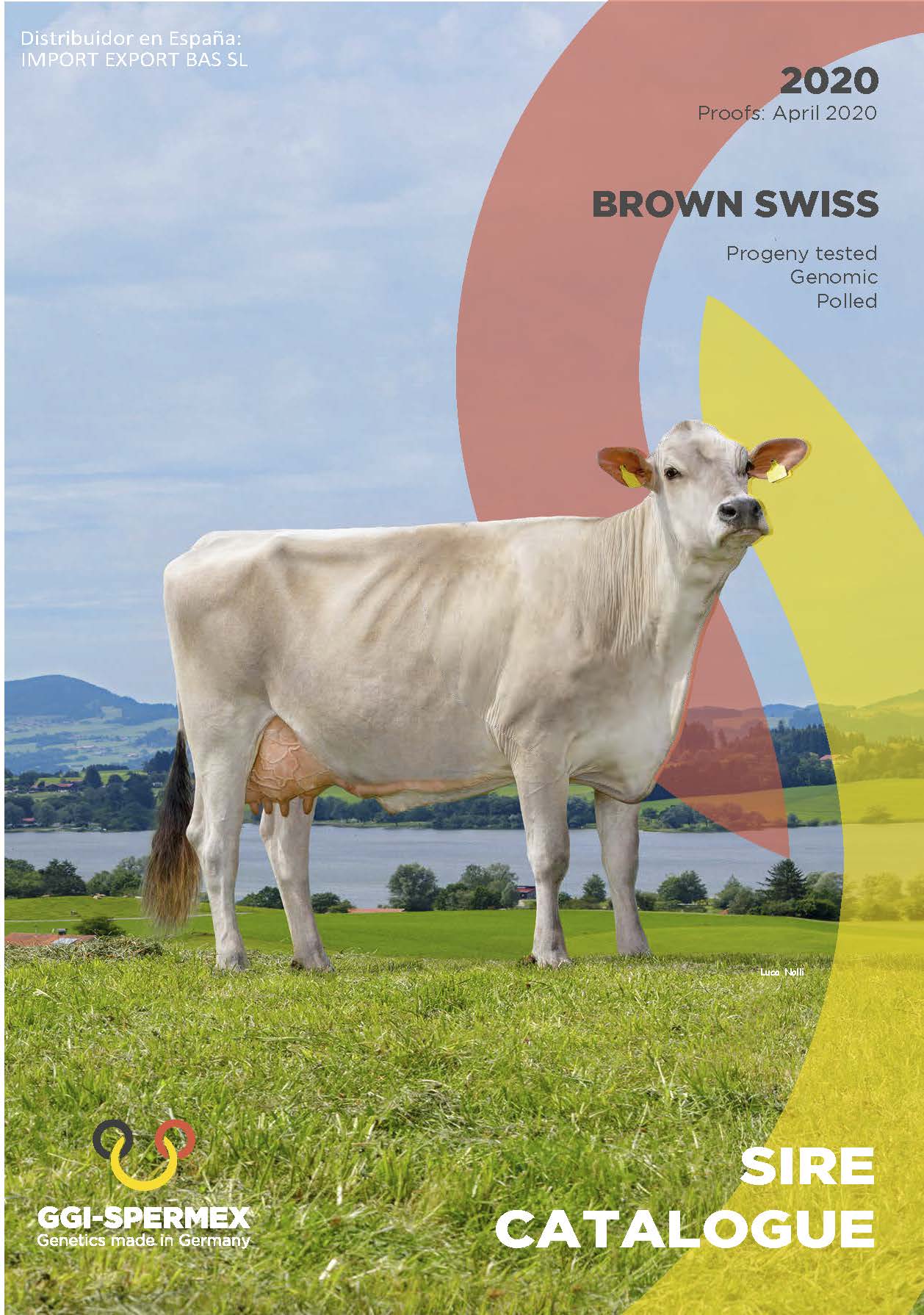 BAS·GGI - SPERMEX - CATALOGO BROWN SWISS 2020